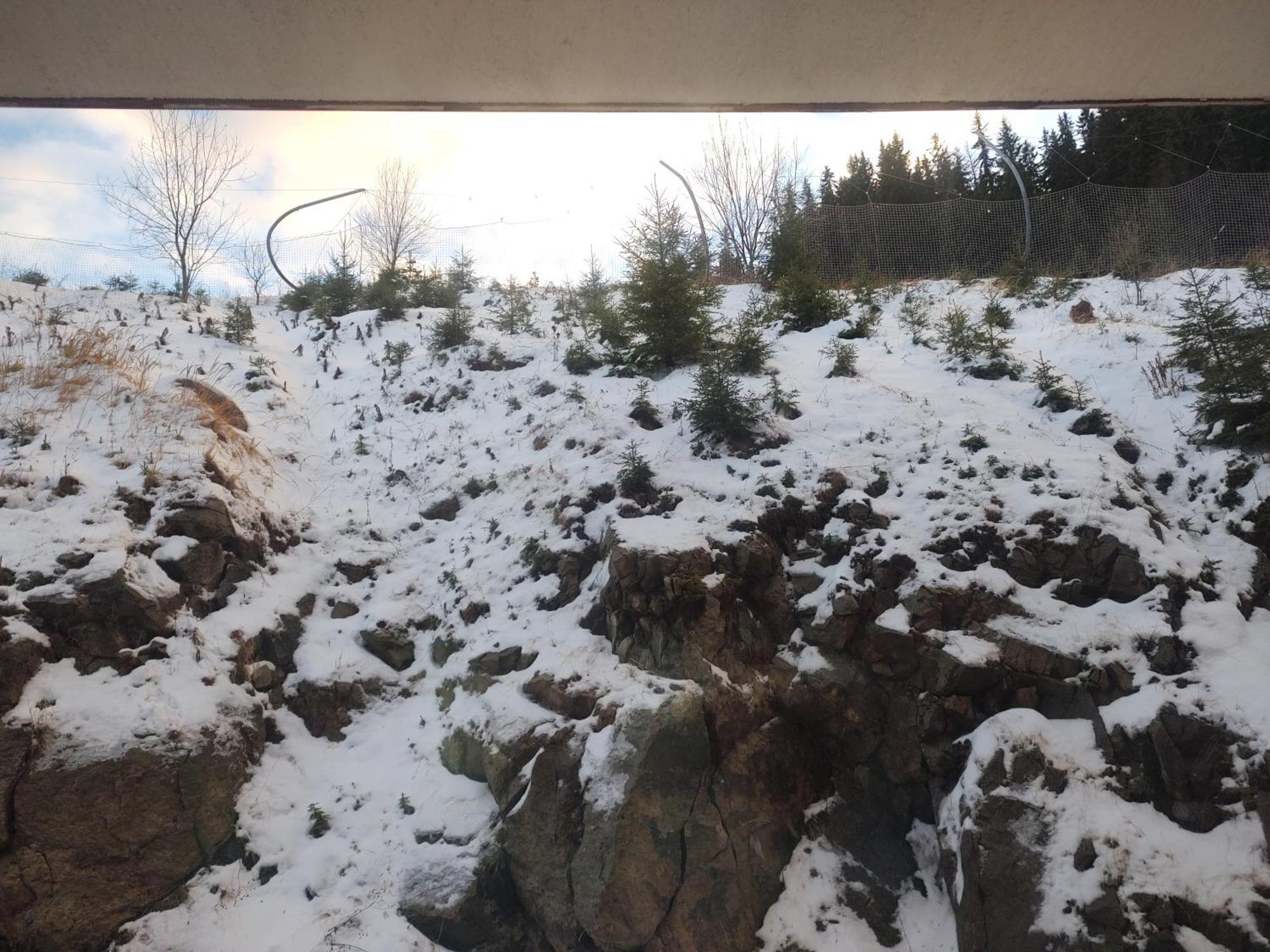Arendo Ski Апартамент В Grand Monastery パンポロボ エクステリア 写真